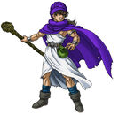 Dq5-hero2