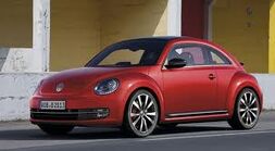 Beetle