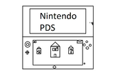 Nintendo PDS.png
