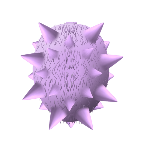 File:SpikedKiwi.png