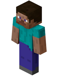Steve-0