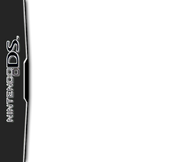 Nintendo DS deluxe
