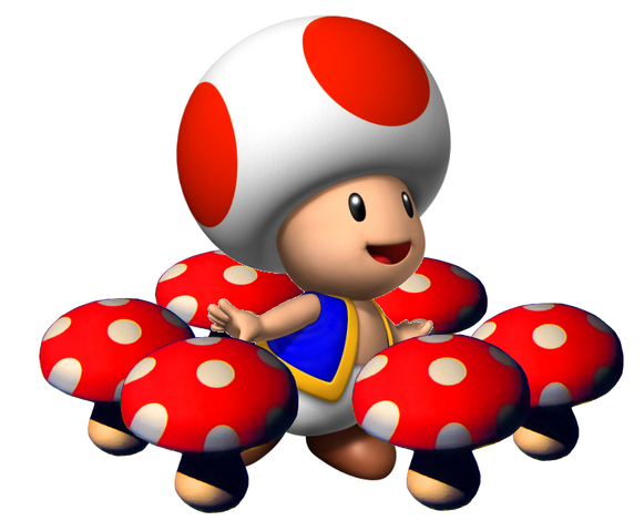File:SM64DS Toad.png