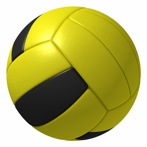 File:Dodgeball MSM Wii.png