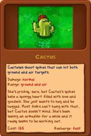 File:Cactus.jpg