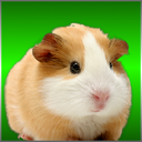 SanguineBloodShed Assist Guinea Pig