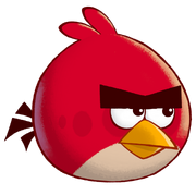 Angry bird