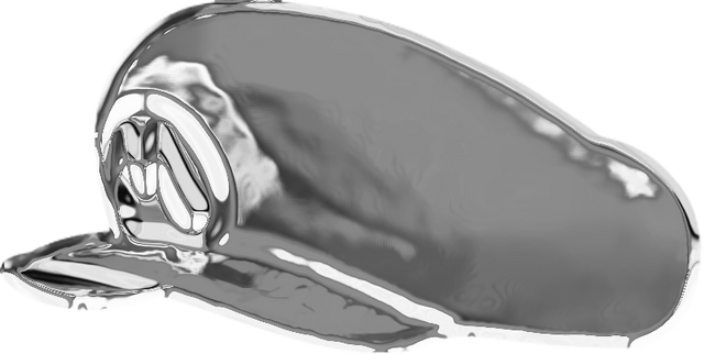 File:MetalCAP.png