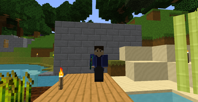 File:SkinandTP.png