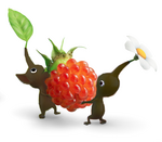 NightPikmin