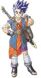 Dq6-hero