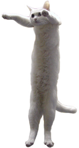 File:Longcat.png