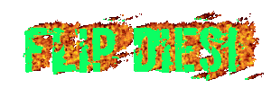 Flip Dies!