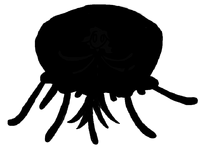 HeroforceSecret2