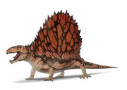 Dimetrodon