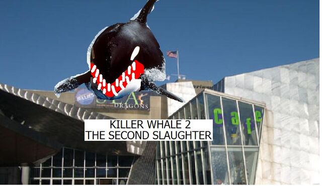 File:Killer Whale 2.jpg