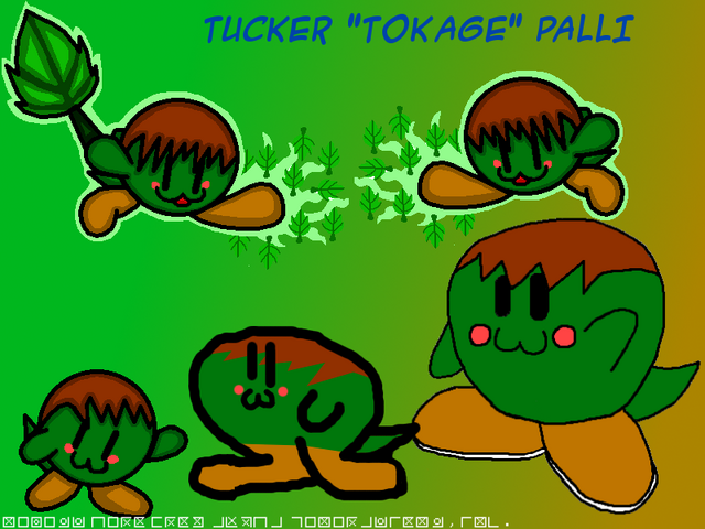 File:TuckerPalliBIG.png