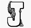 File:120px-J-Manky Kong.png