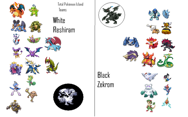 File:TPITeam.png