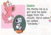 Male Birdo