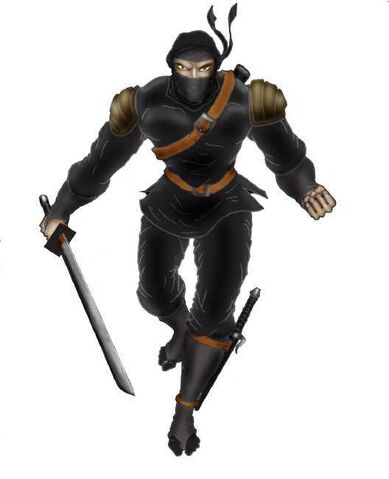 File:Ninja3.jpg