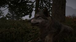 Far Cry® 4 20141210193641
