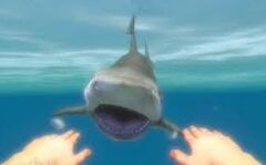 Farcry shark