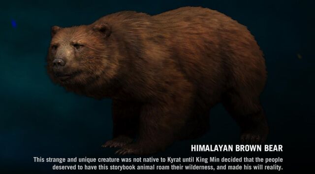 Plik:BrownBear page.jpg