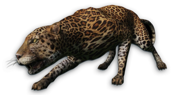 cryson leopard