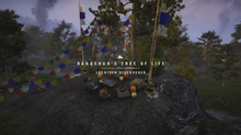 Treeoflife