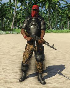 Pirate Defender