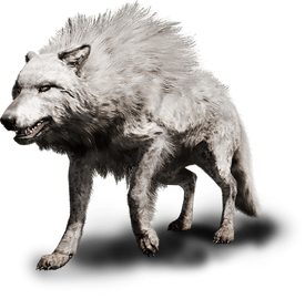 Far cry primal wolf