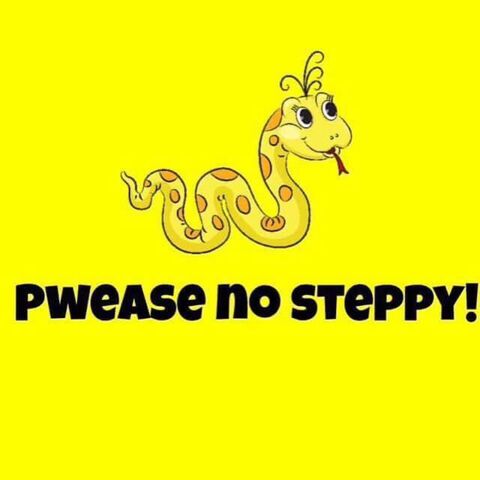 File:Pwease no steppy.jpg