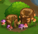 Fouille aux champignons