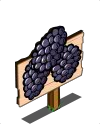 Soubor:MasteryBlack Berries.png