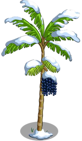 Arquivo:Acai8-icon.png