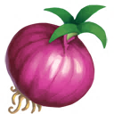 Onion