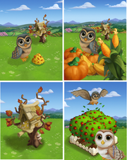 Owls