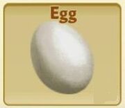 Egg