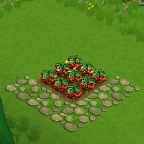 File:StrawberryField.jpg