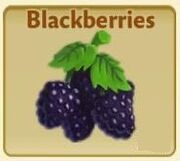 Blackberries