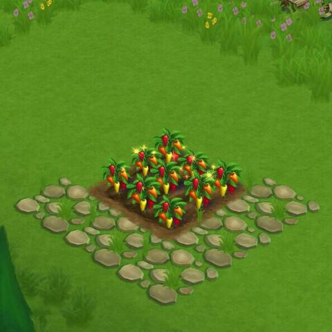 File:MixedPepperField.jpg