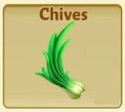 Chives