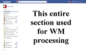 WM 1.6 pagelet