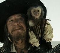Jack AWE.jpg