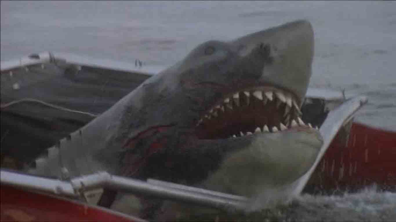 Great White Shark(Jaws 2) | Fear world Wiki | FANDOM powered by Wikia