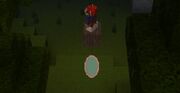 Teleportation