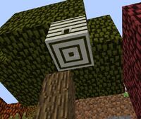 Forest Hive
