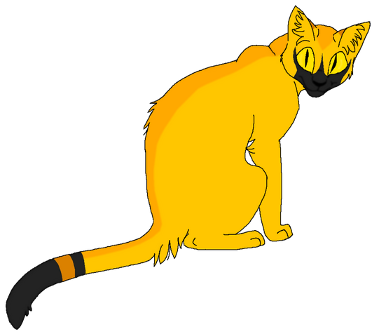 Datei:Chrochoch (4).png