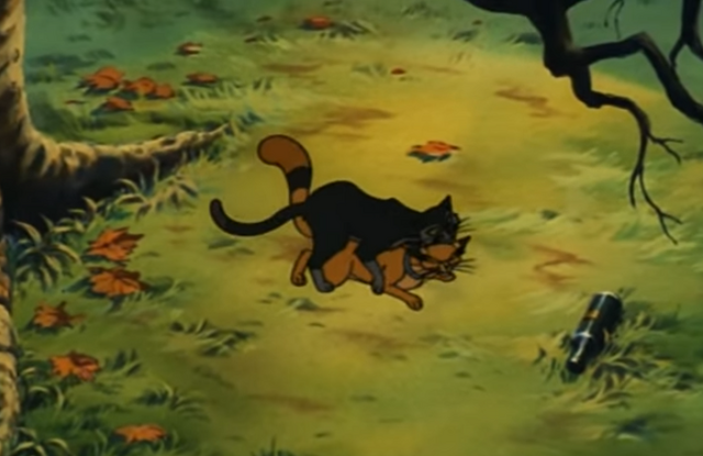 File:Catsmating.png